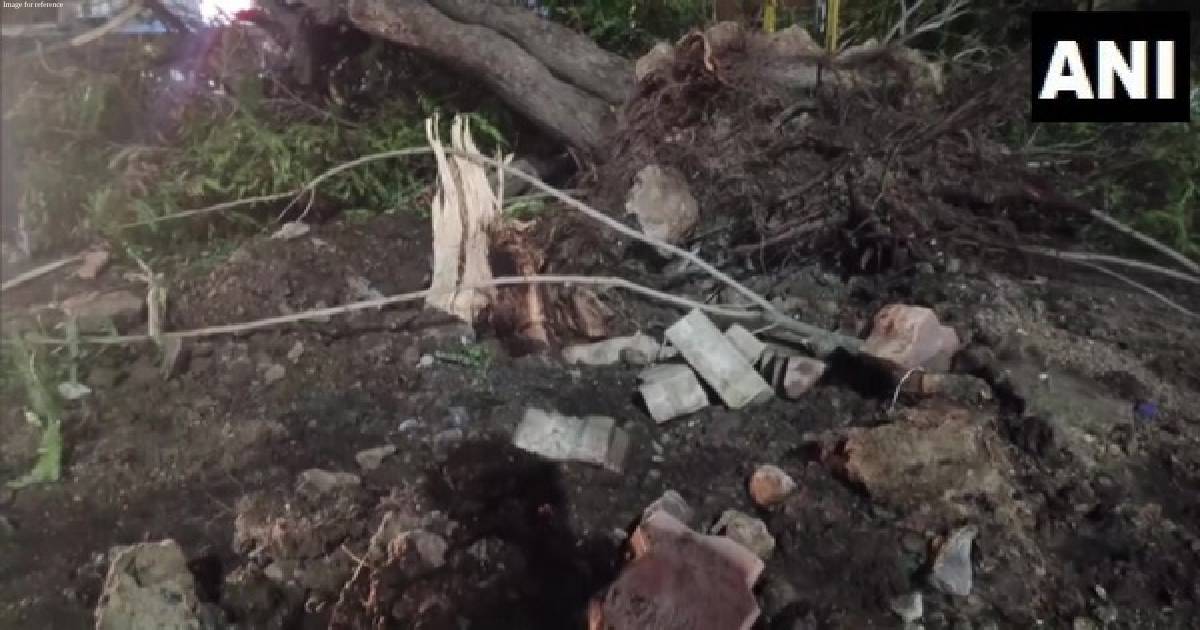 Cyclone Biparjoy: Heavy rains, strong winds damage 300 electric poles in Gujarat's Morbi
